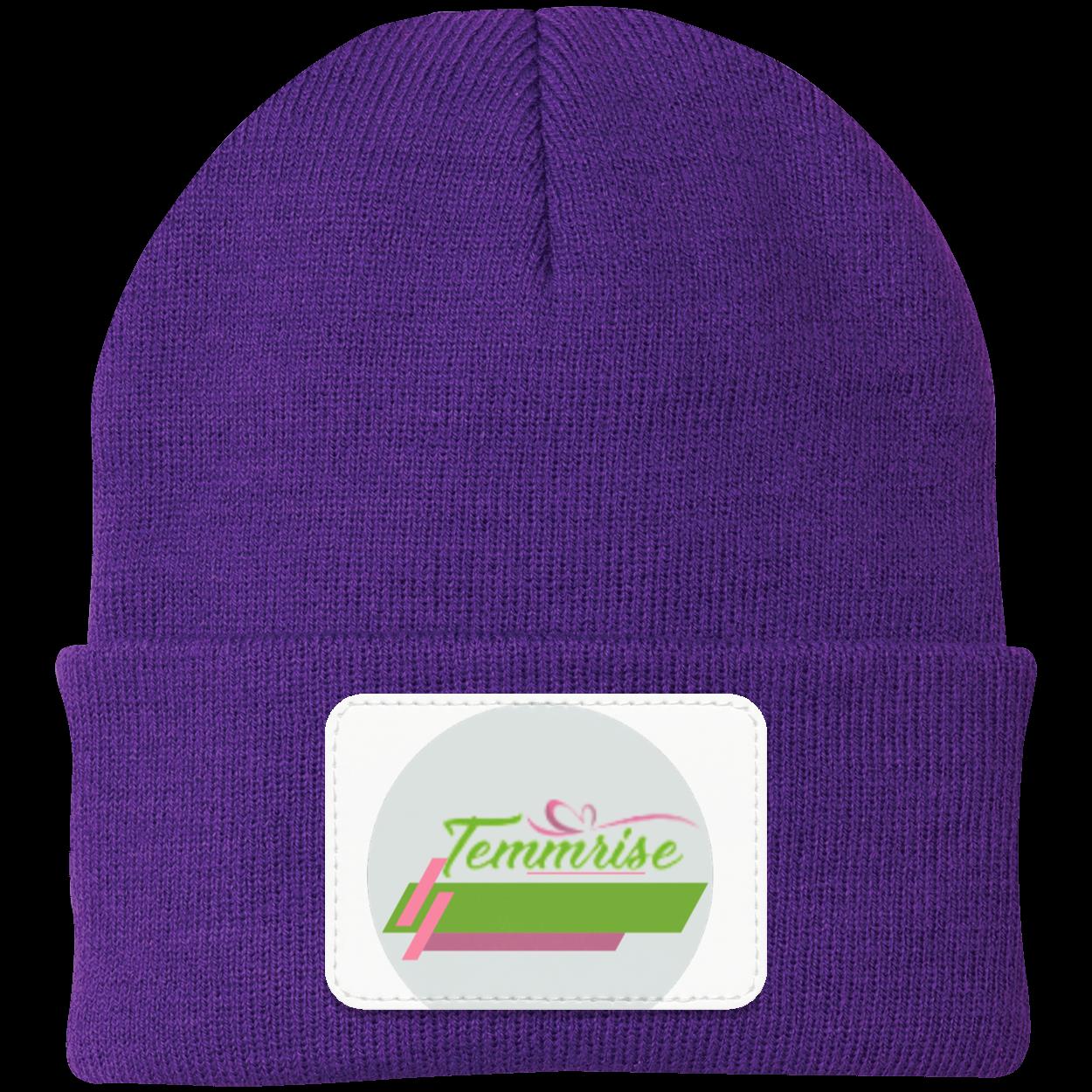 Temmrise Logo Hoodie