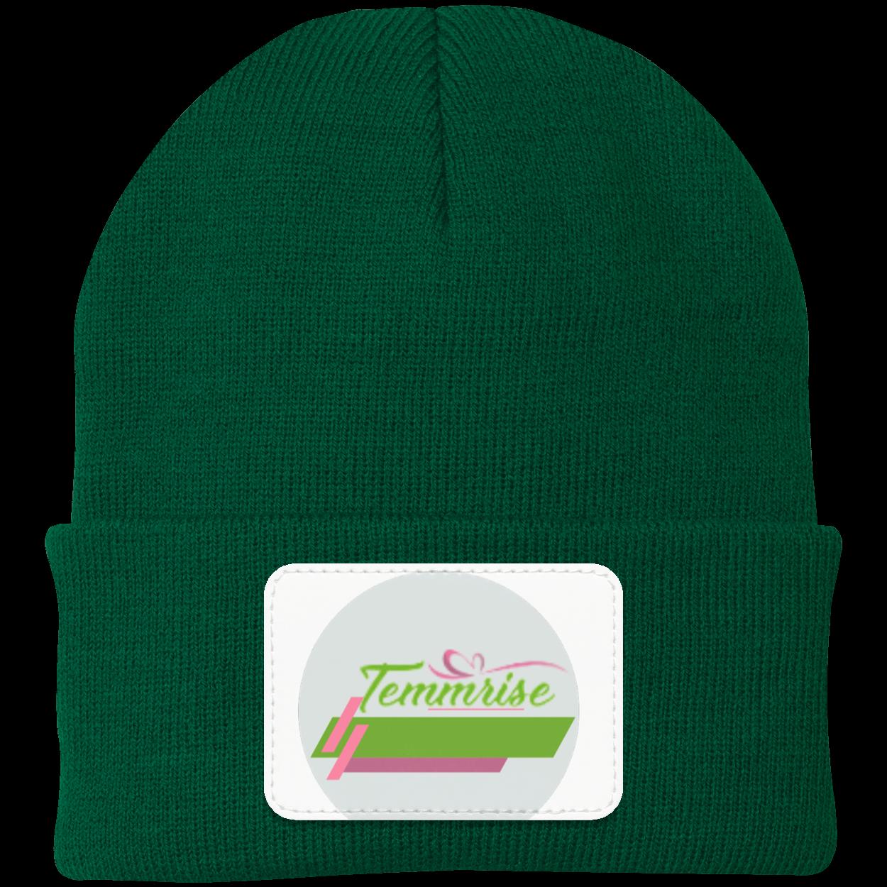 Temmrise Logo Hoodie