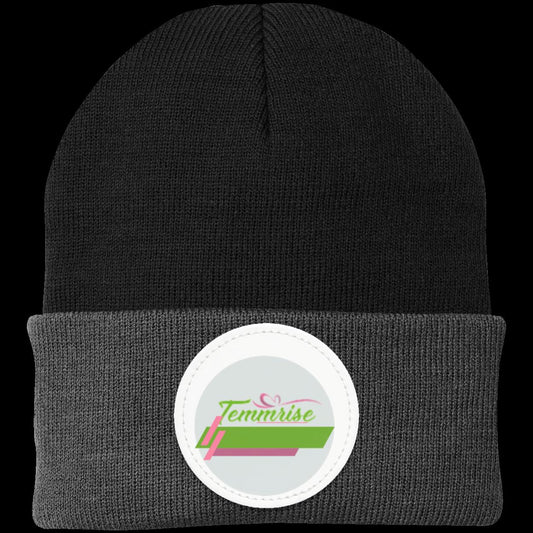 Temmrise Logo Hoodie